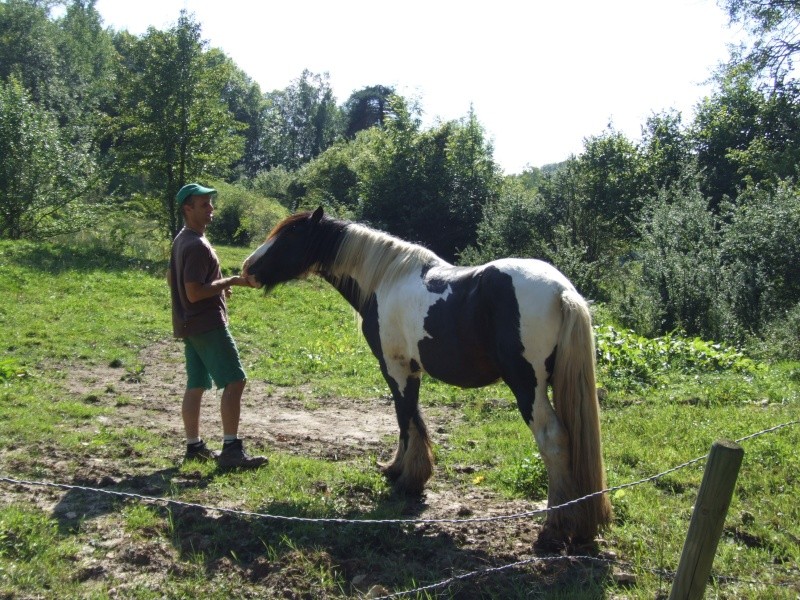 DES NEWS DU LOMONT (NEWS P.2,3,4) 2008_027