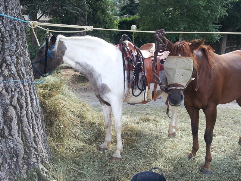 [Août 2012] Aveyron 20120872