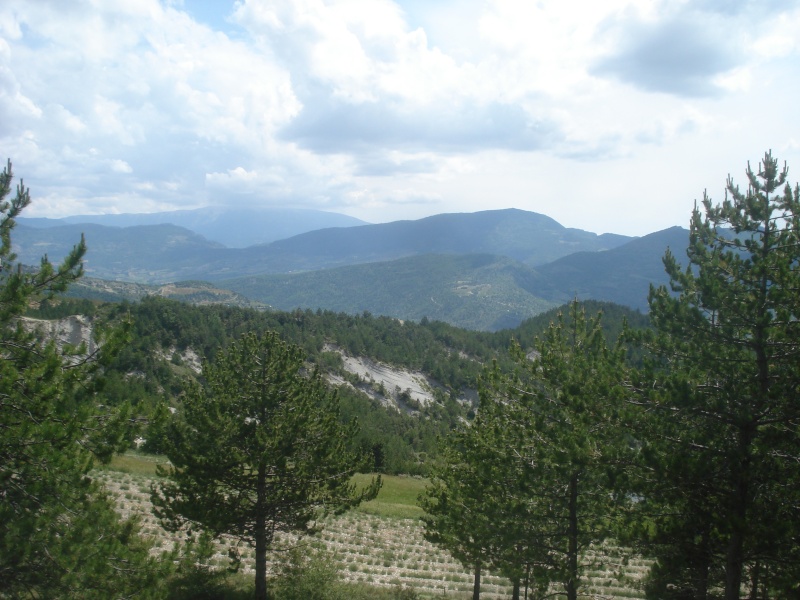 Juin 2010 : la Drome Provençale les Baronnies Dsc04433