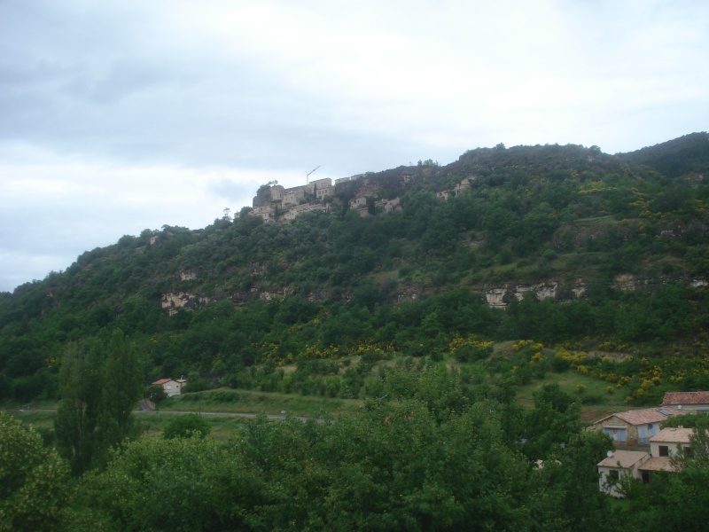 Juin 2010 : la Drome Provençale les Baronnies Dsc04439