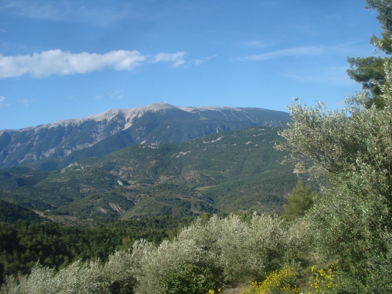 Juin 2010 : la Drome Provençale les Baronnies Dsc04533