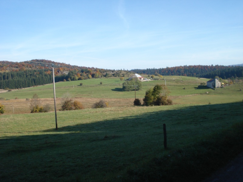 Splendeurs automnales en Haut Bugey Dsc07022