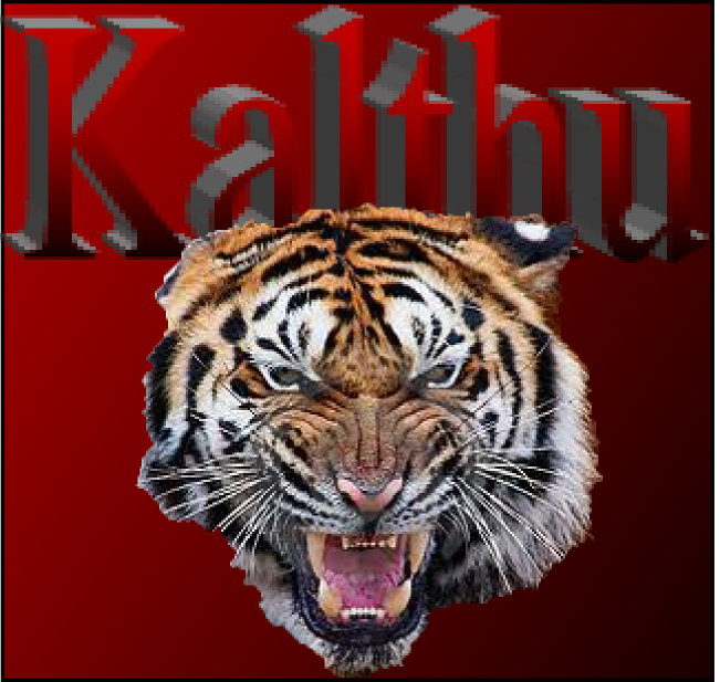 tigre - Tiger Crossing, "trop intelligent pour être malheureux ou les tribulations d'un ancien zèbre devenu Tigre" Kalth110