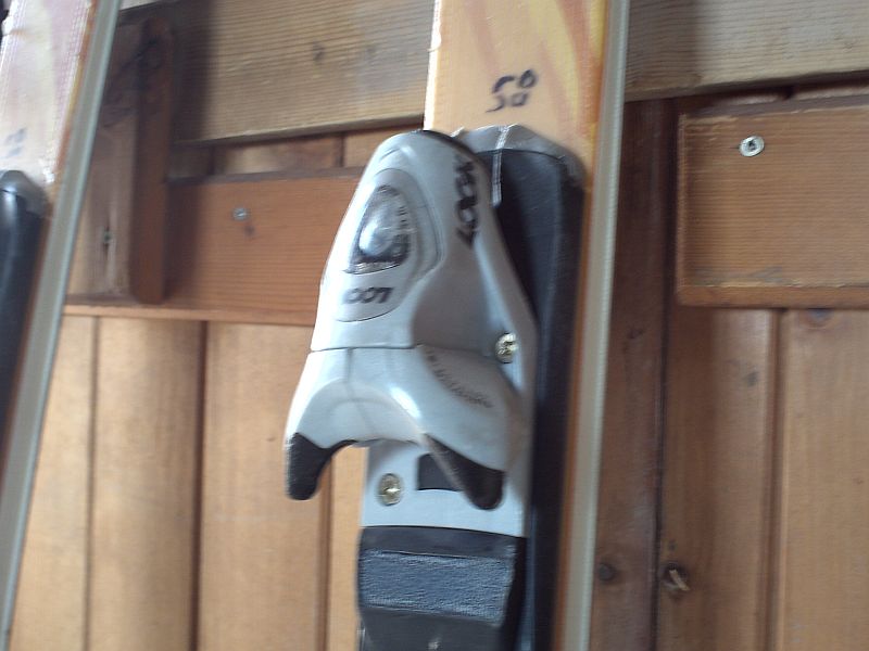 skis Dynastar + chaussures Img_0729