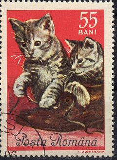 schweiz - Katzen Sp28-026