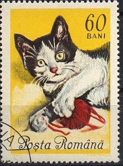 schweiz - Katzen Sp28-027