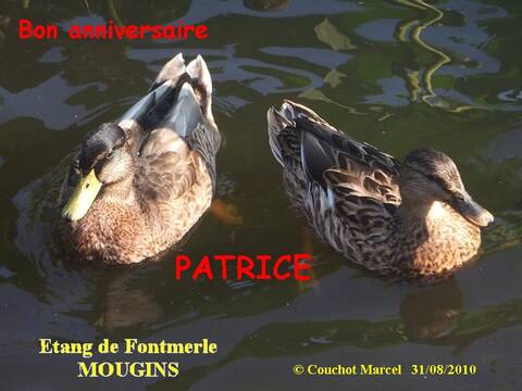 Bon Anniversaire Patrice Bon Anniversaire Patrice