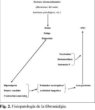 Dolor de origen muscular: dolor miofascial y fibromialgia. F110