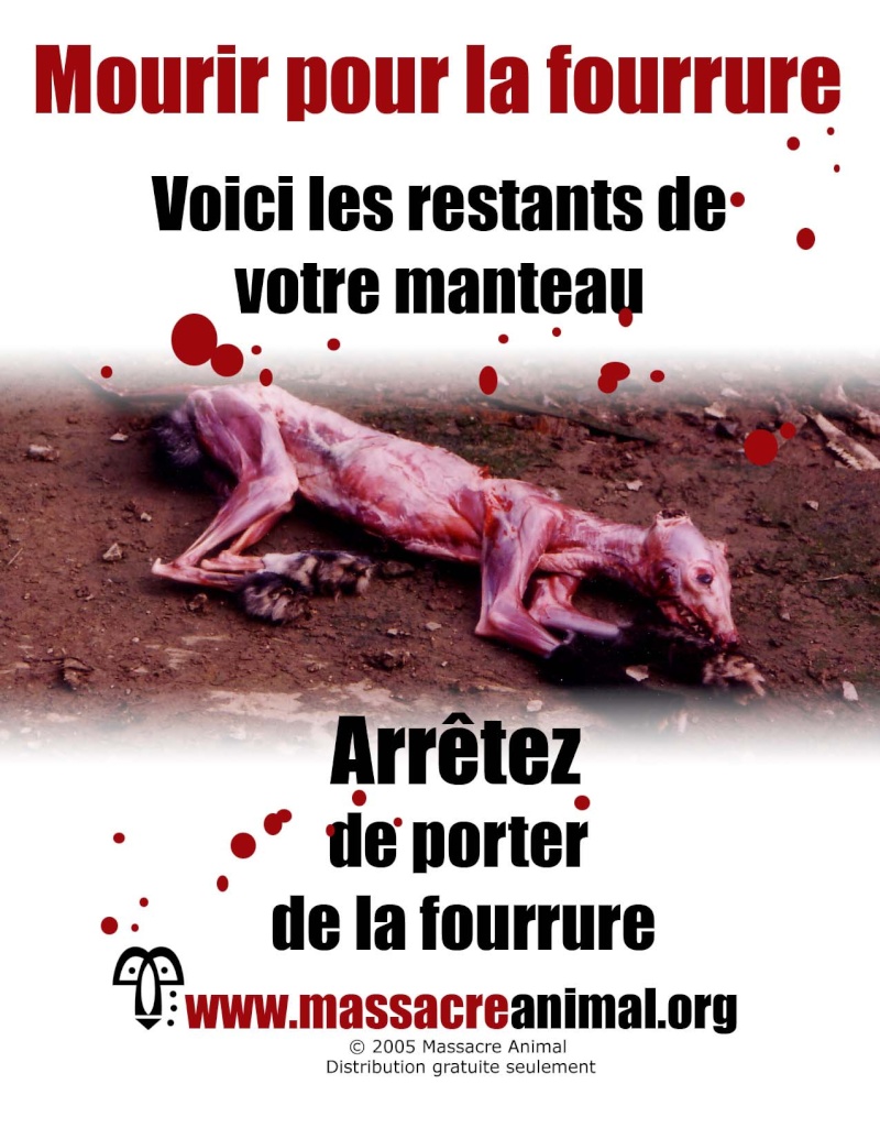 Tracts & affiches contre les usines à chiens Aff_fu10
