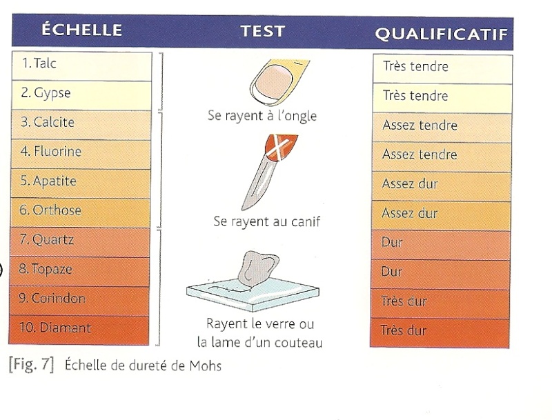 Identification svp? Tablea10