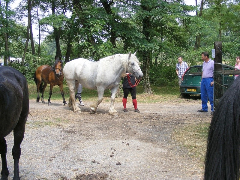 A L'écurie de la Zinsel 07/2010 12210