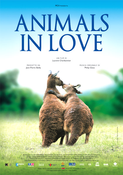 Animals in Love Locand16