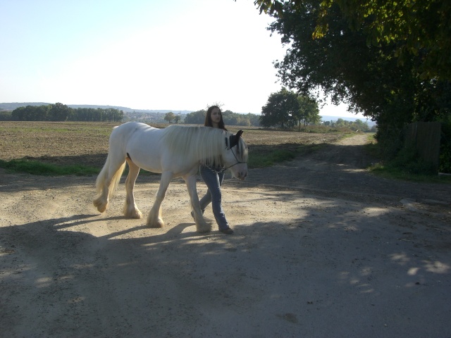 dimanche avec Snoopy, Tilly (et Bidounette et Ocean91) Cimg4827