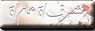 مشرف عام مشرف عام