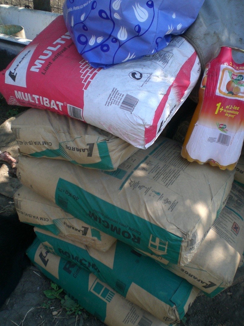 BOXES POUR LE REFUGE DE LENUTA - ENCORE 40 CHIENS SANS ABRIS - Page 6 Travax10
