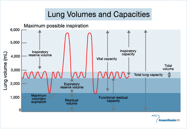 Tests of pulmonary function Lung_v10