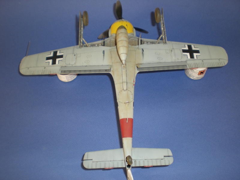 [Hasegawa] 1/32 - Focke-Wulf Fw 190 A-7  (fw190) - Page 5 Dscn5126