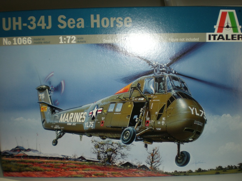 UH-34 Sea Horse 1/72 italeri Dscn5215