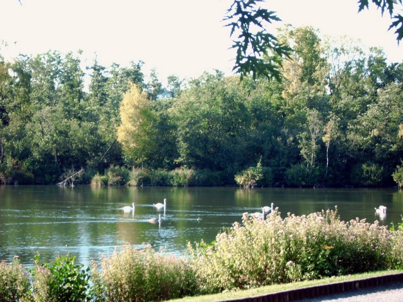 Parc d'isle à Saint Quentin Marais10