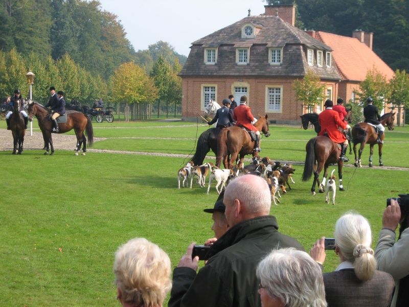 jagtshow in Sgel Img_2216