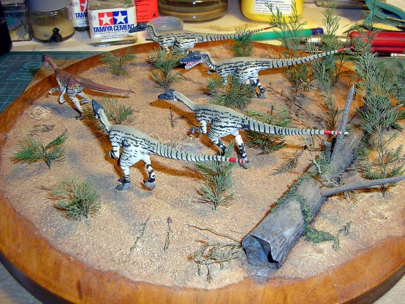 Diorama de chasse : Vélociraptor versus Oviraptor Chasse11