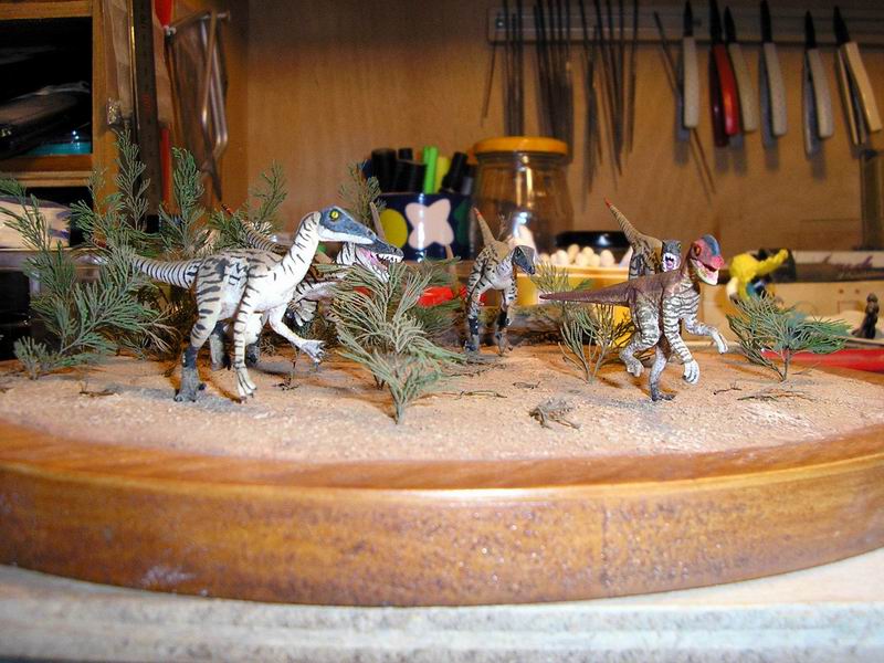 Diorama de chasse : Vélociraptor versus Oviraptor Chasse12