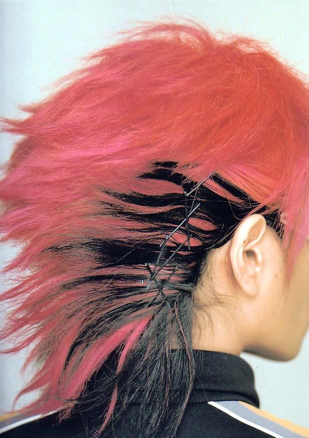 Photos de Hide - Page 3 Hide3310