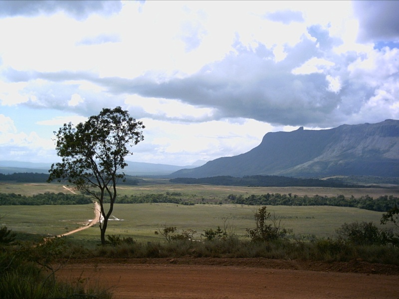 VIAJE A LA GRAN SABANA APONWAO Via_ap11