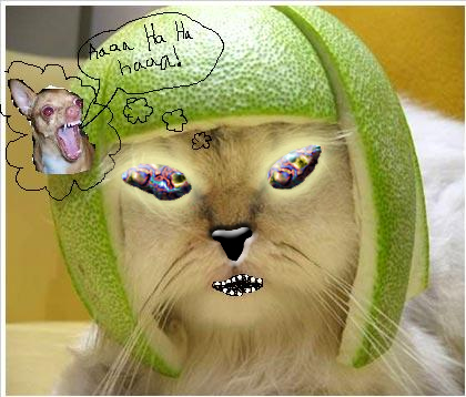 Photoshop Tennis Cat10