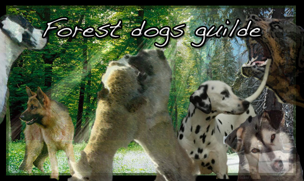 Forest Dogs Guilde