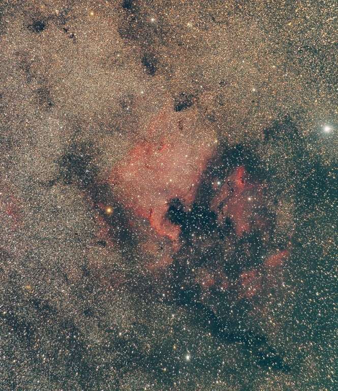 NGC 7000 avec un nikon Ngc70011