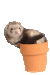 Mini Moi Mini Moi