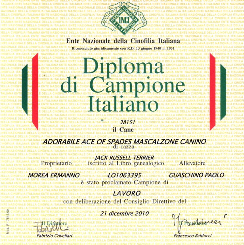 canino - 21 dicembre 2010: che anno! Ho il piacere di annunciare che: Adorabile Ace of Spades Mascalzone Canino è Campione Italiano di Lavoro!!! - Pagina 2 Diplom12