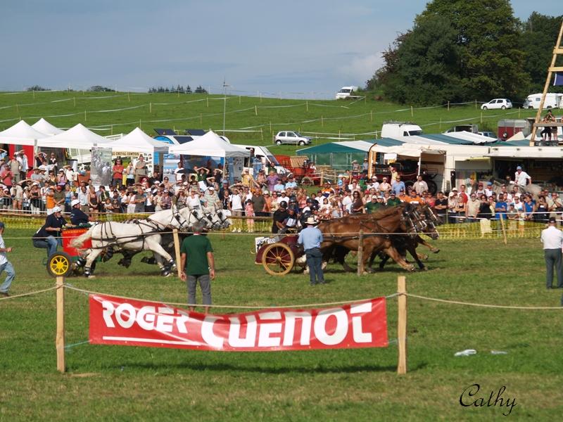 Franche-Comté terre de traits (Route des vins et du comté) P8222219