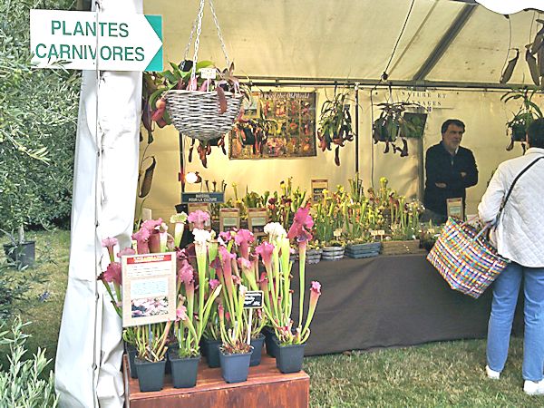 Fête des plantes en région parisienne les 21, 22 et 23 septembre 2012, St Jean de Beauregard 91 St_jea10