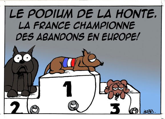 La France, première place des abandons, quelles solutions? 578pod10