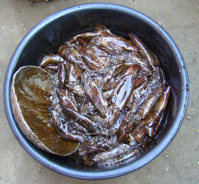 what i miss back in the Philippines Gulay810