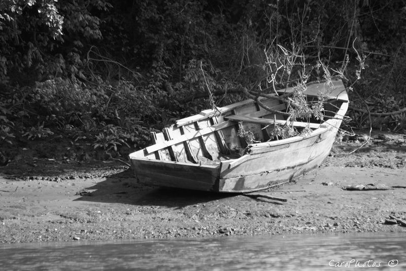 Barques échouées 42287110