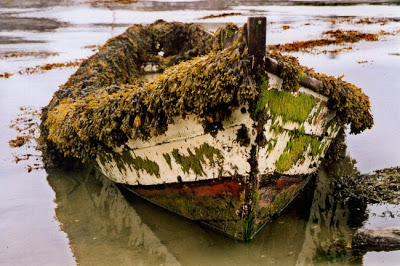 Barques échouées Barque12