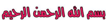 بلجيكا  317