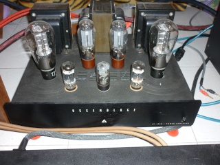 Assembage 300B Power Amp (used) P1000617