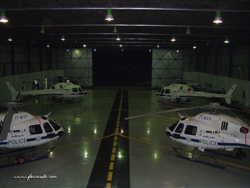 مروحيات الشرطة الجزائرية Hangar10