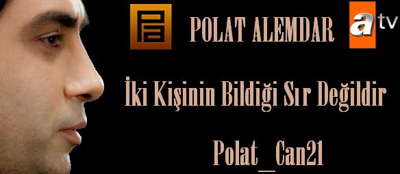  1 Tane Polat Çalışması  09082010