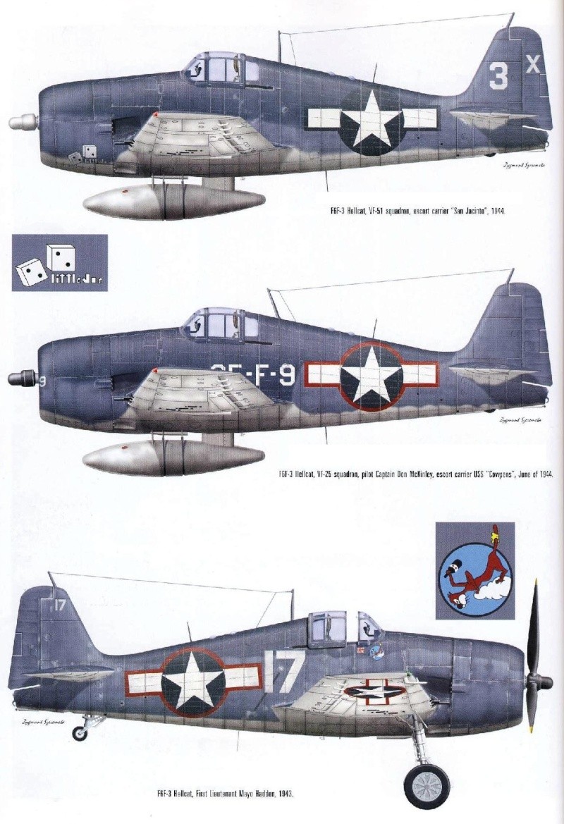 Grumman F6F Hellcat Monogr21