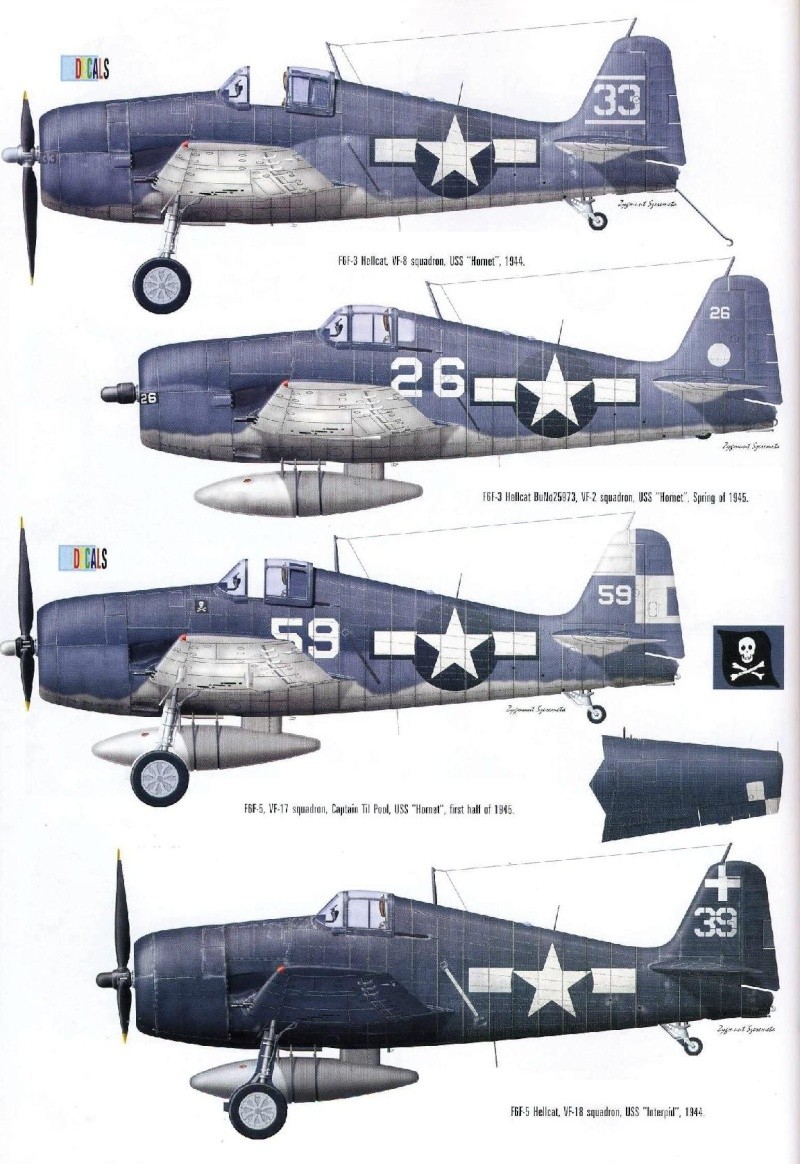 Grumman F6F Hellcat Monogr22
