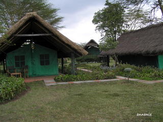 Kenya.....aiuto: lodge o camping safari? Bild_213