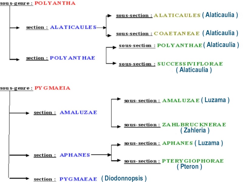Nouvelle taxonomie pour le genre Masdevallia et affiliés. Tax0110