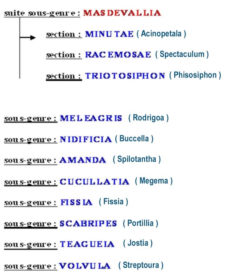 Nouvelle taxonomie pour le genre Masdevallia et affiliés. Tax0310
