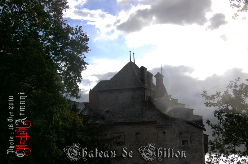 Château de CHILLON - Extérieurs Dsc_0310