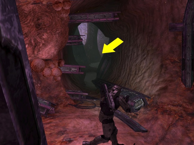 [OBSERVATION] Crâne d'Elites et ossements Halo3_14